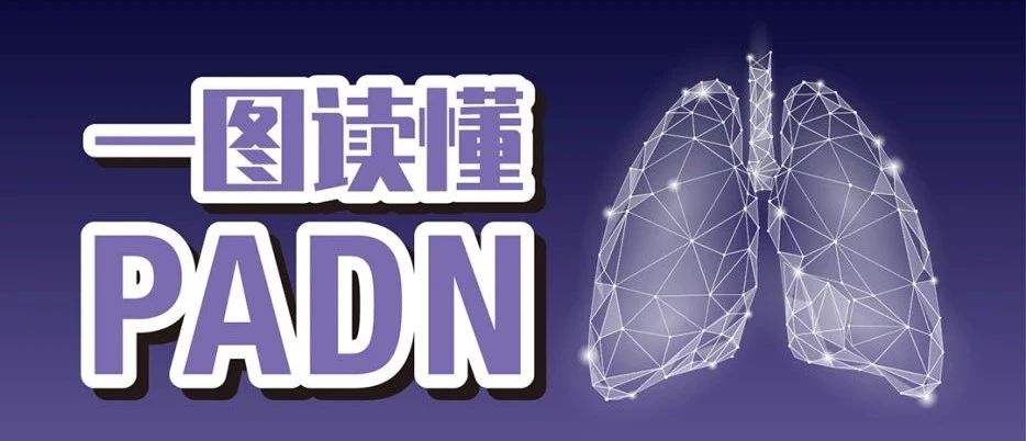 进博掠影 | 共探“黑科技”PADN大揭秘